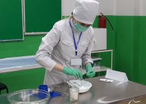 альбом 2022-2023